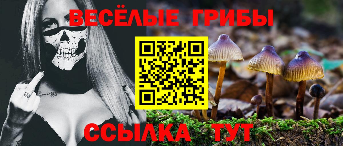 Галлюциногенные грибы GOLDEN TEACHER  Вход с VPN  Видное  Галлюциногенные грибы мухоморы 